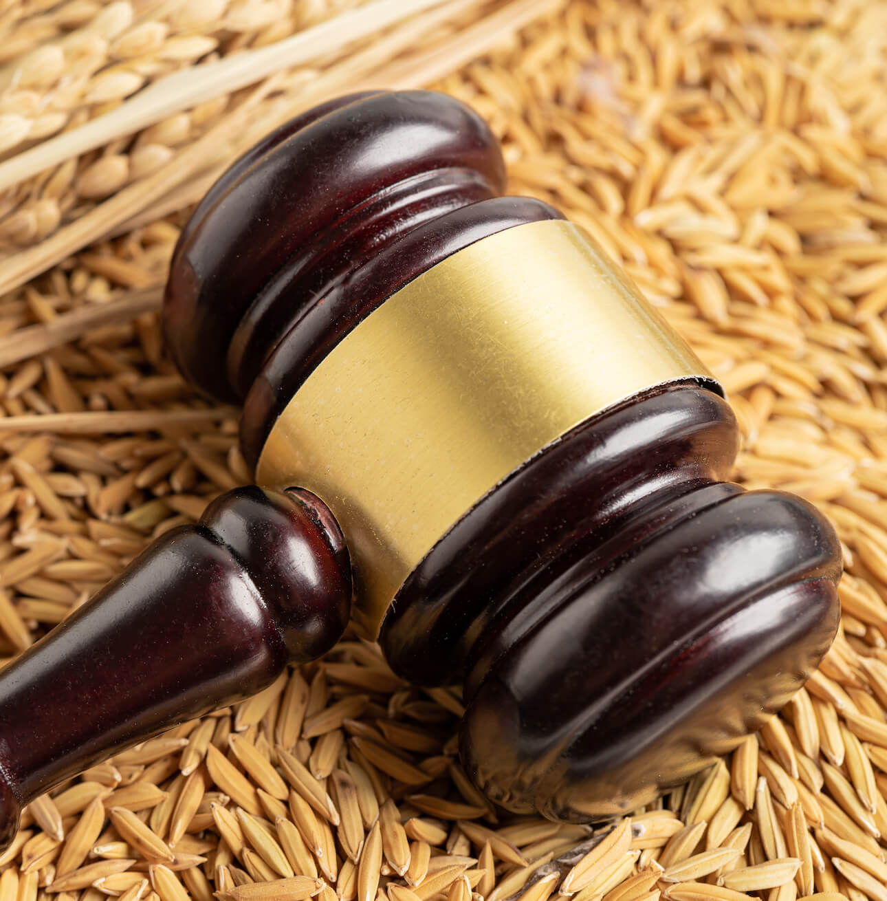 Derecho Agrario y Regularización de Tierras